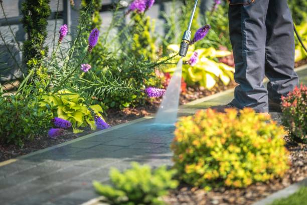 Best Restaurant Pressure Washing  in Hayti, MO