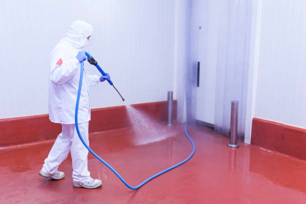 Boat and Dock Cleaning in Hayti, MO